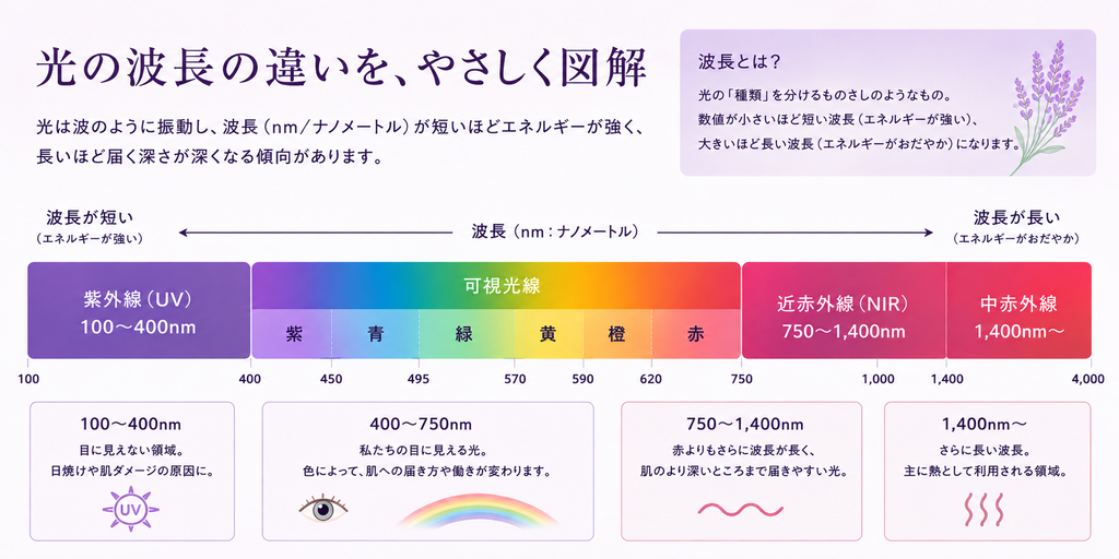光の波長の違いを示した図解。紫外線・可視光線・近赤外線・中赤外線を波長順に並べ、波長が短いほどエネルギーが強く、長いほど肌の深くまで届くことを説明したイラスト